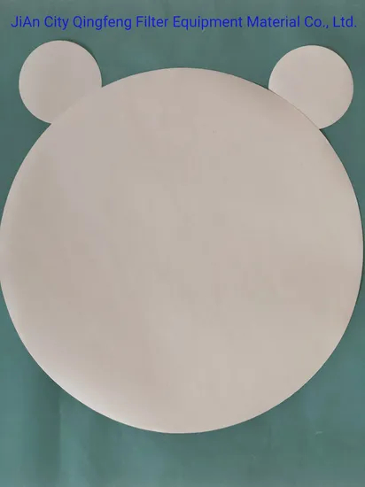 Polypropylene/PP/Nylon/PVDF/Pes/Ptee Filter Membrane for Buffer Filtration