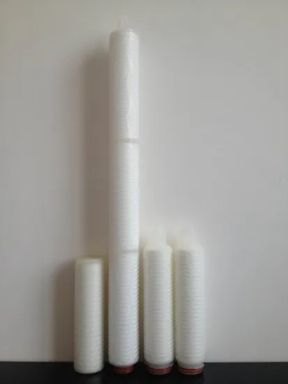 0.2 Micron Pes Filter Cartridge Hydrophilic Membrane Filter