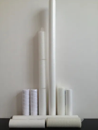 0.22um Nylon Filter Cartridge Filtration of Suspended Particles