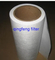 Micro Polypropylene PP Membrane Filter Element for Water Filtration