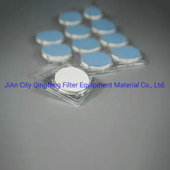 0.45um Hydrophilic Nylon Micron Filter Membrane with Roll Disc Type