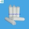 0.22 Micron PTFE Membrane Pleated Filter Cartridge for High Purity Gas