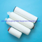 Absolute Rating 0.2 Micron Charged Nylon66 Membrane Filter Carrtidge for Endotoxin Filtration