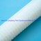 0.45 Um Pes/Nylon Polyethersulfone Membrane Pleated Filter Cartridge for Beer and Wine Sterile Filtration