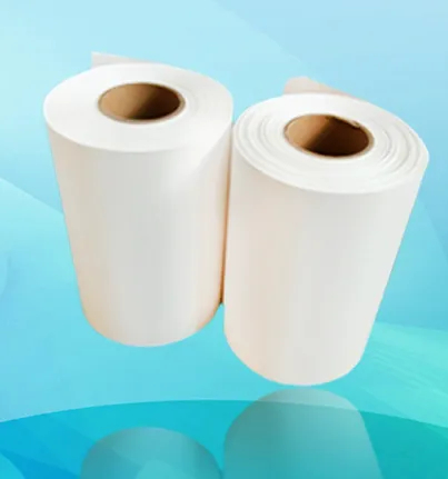 ISO Certificated PVDF Blotting Membrane for Protein Sequence