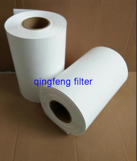 Hot Saled Pes Filter Membrane for Food & Beverage Industry