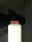FDA Certificated 0.2 Micron 10 Inch Nylon Pleated Filter Cartridge for Wine Filtration