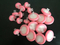 EXW Hydrophobic PVDF Medical and Chemical syringe Filter 25mm 0.22um