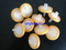 Sterile Nylon Syringe Filter with Disc Membrane Filter for HPLC, Lab and Medical Use