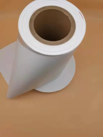 0.45um PVDF/PTFE/Nylon Membrane Filter for Sterilizing Filtration and Additive Filtration