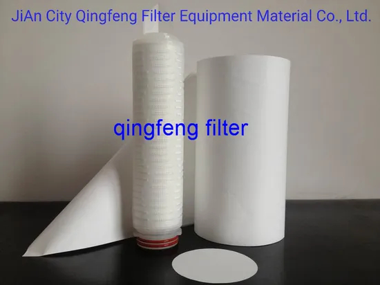 10 Inch 0.2um Nylon 6 Media with Nonwoven Support Materials Constructed Nylon Pleated Filter Cartridge for Semiconductor Water