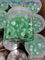 0.22um Hydrophobic PVDF Syringe Filter for Laboratory Syringe Filters Lab Disposable