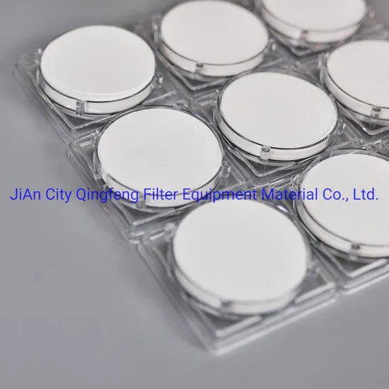0.22/ 0.45/1.0 Micron Hydrophilic Pes Membrane for Reverse Osmosis Water Filter Pes Membrane