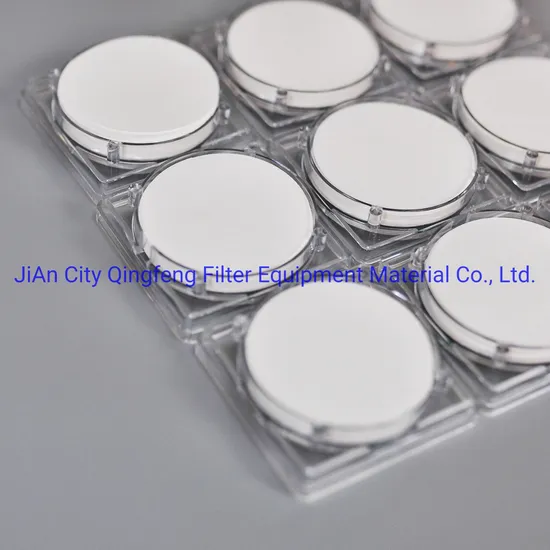 0.45um Hydrophilic Nylon Micron Filter Membrane with Roll Disc Type