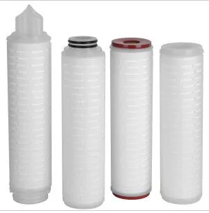 0.1 Micron Hyrophobic PTFE Filter Cartridge for Air Filtration and Aseptic Filtration