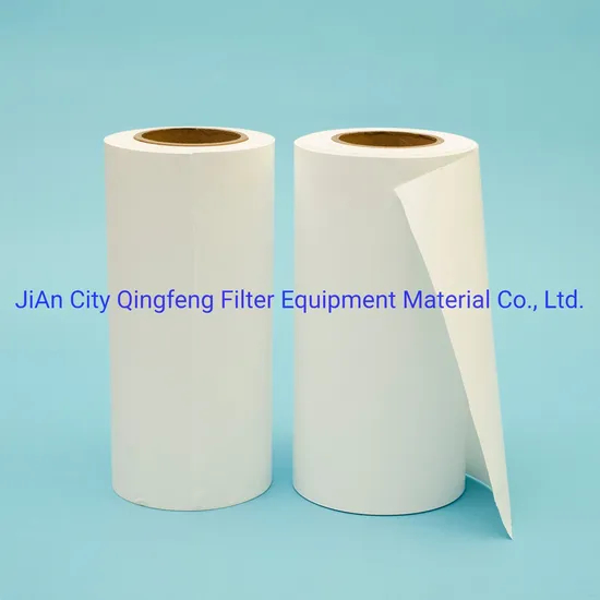 0.22um 0.45 Micron Hydrophilic PVDF/Nylon/Pes/PTFE Filter Membrane for Water Purification