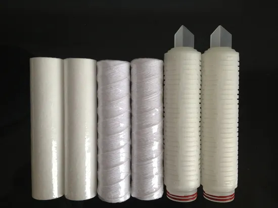 Microns Membrane Filter Ptfenylon Pleated Filter Cartridge for Pharmaceutical Industry