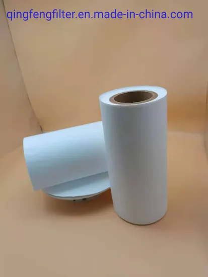 Hydrophobic PVDF/PTFE 0.22um Micropore Membrane Filter for Biological Products
