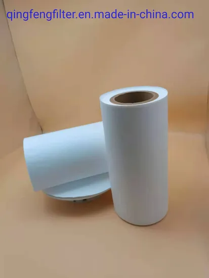 Hydrophobic PVDF/PTFE 0.22um Micropore Membrane Filter for Biological Products