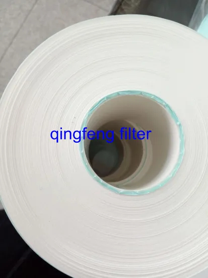Nylon Filter Membrane for Chemical & Water Treament & Facilities Water