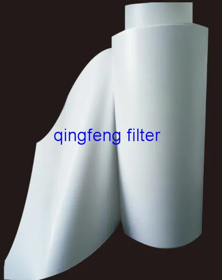 Pes 0.22um Membrane for Liquid Filtration in Precision Filters