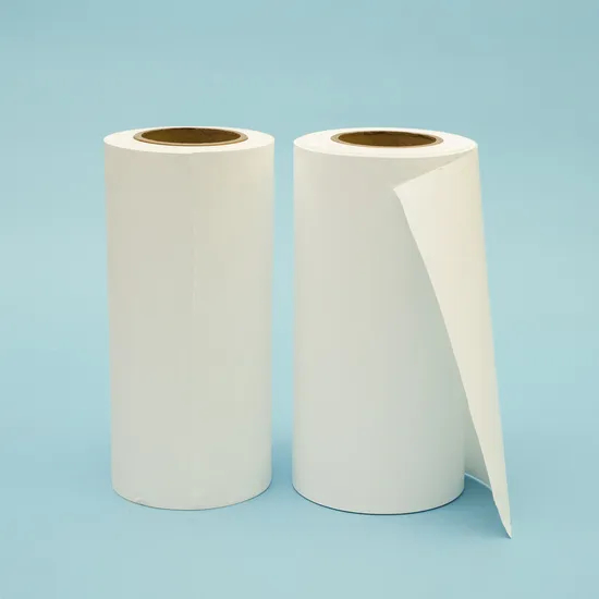 Pharmaceutical Sterile 0.22 Micron Pes Membrane for Sterilization Filtration