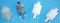 Syringe Filter Holder