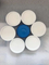 0.45um PVDF/PTFE/Nylon Membrane Filter for Sterilizing Filtration and Additive Filtration