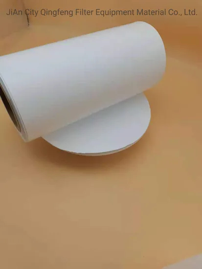 Pharmacy Membrane Filter Polyamide Nylon Nitrocellulose Polyethersulfone /Eptfe /Glass Fiber Membrane for Pleated Filter Cartridge