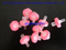Factory Price Syringe Filter with Ca/Mce/Nylon/Pes/PTFE/PVDF Membrane for Lab Use