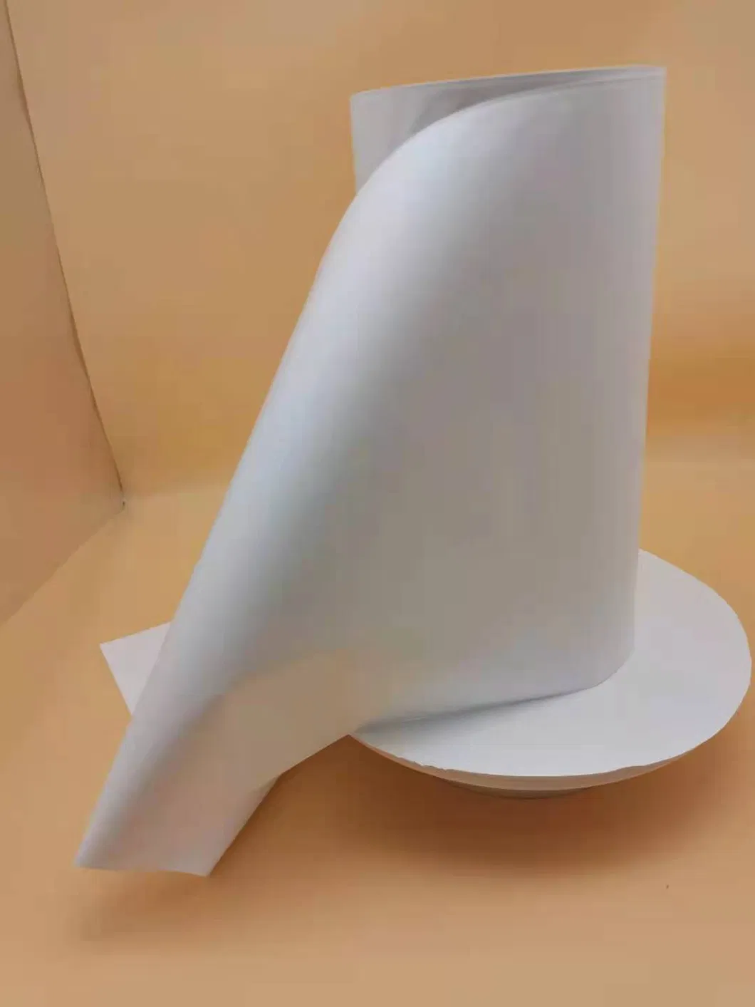 Sterilized Hydrophobic PTFE/Pes/ PVDF/PP/GF Flat Sheet Membrane Disc Membrane Filter for Lab Test