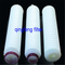 0.1 Micron Hyrophobic PTFE Filter Cartridge for Air Filtration and Aseptic Filtration