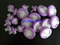 PTFE Membrane Sterile Syringe Filte for Filtration of Special Chemical Reagents