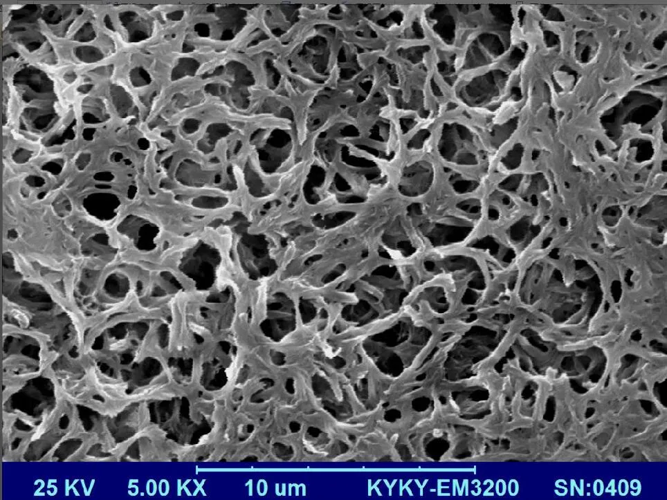 Good Mechanical Nylon (PA6&PA66) /PVDF/PTFE/Ca/Cn/Mce/Pes Filter Membrane for Water Treatment