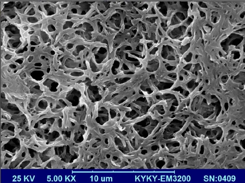 High Flow Rate Hydrophilic Nylon Filter Membrane for Syringe Filters