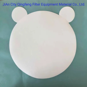 0.2 Micron Pes/Nylon/Mce/Ca/Cn/PTFE/PP/PVDF Membrane Filter Membrane for Chemical Industrial Filter Cartridge Pleated Media Membrane