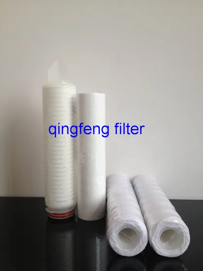 10inch Nylon Filter Cartridge Micropore Membrane Pes Filter Cartridge for Water Treatment Purification