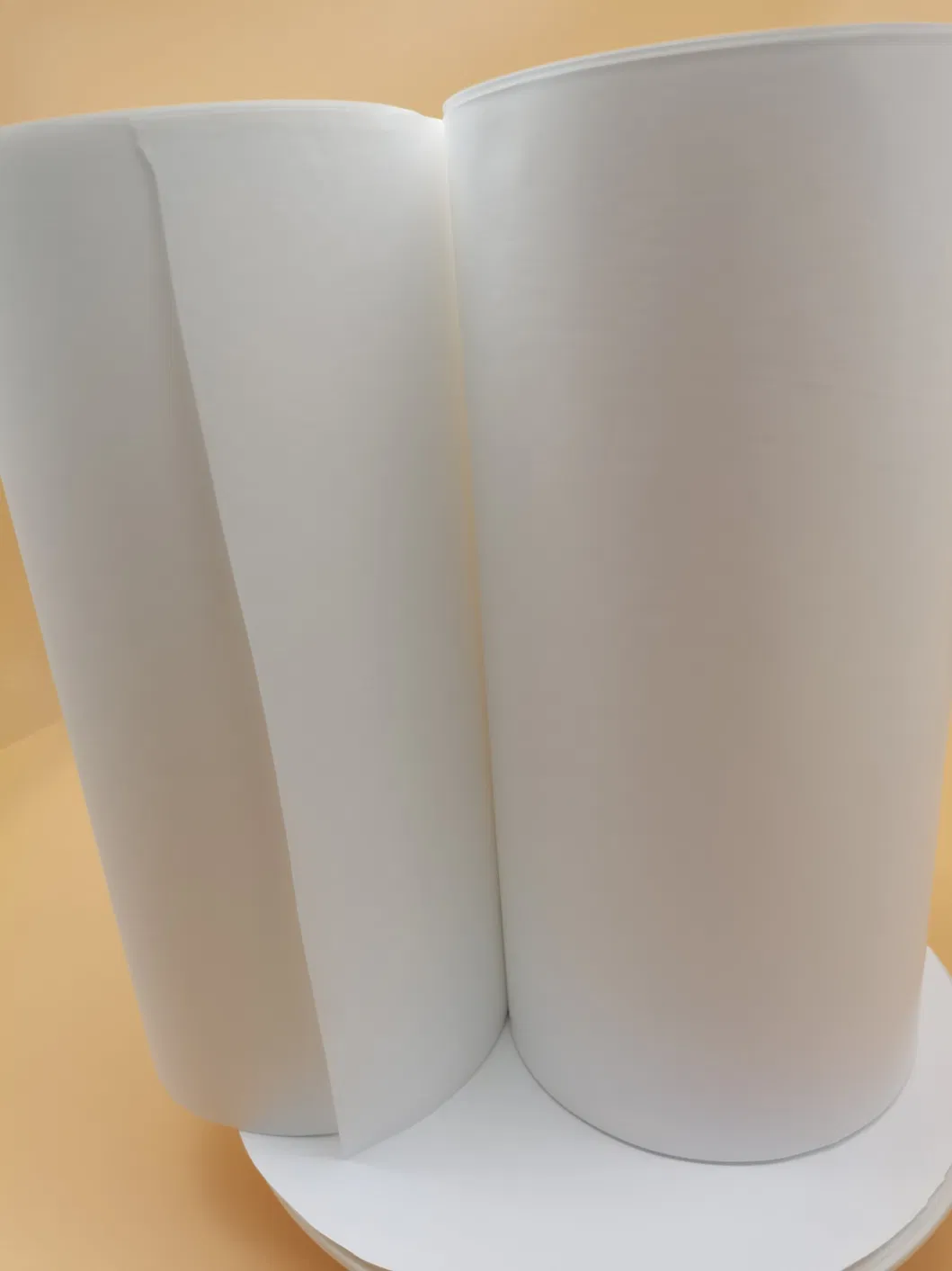 0.1/0.2/0.45/1.0/3.0/5.0um PTFE/PP/Pes/Nylon/PVDF Filter Membrane for Sterilization