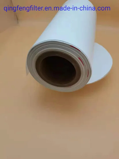 High Performance Nylon Nylon66 Pes Mce Ca Cn Membrane for Pharmaceutical Filtration