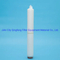 0.45 Micron High Asymmetric Pes Membrane Filter Cartridge with Pure Water Filtration Pleated Filter Cartridge