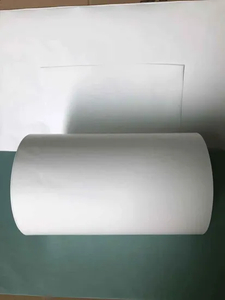 Roll Micron Polyethersulfone (PES) Membrane Filters with Best Price