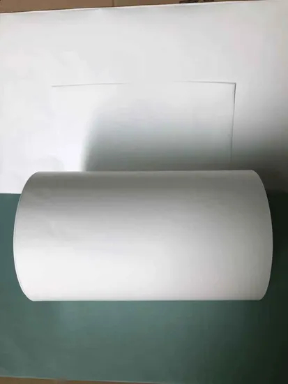 Roll Micron Polyethersulfone (PES) Membrane Filters with Best Price
