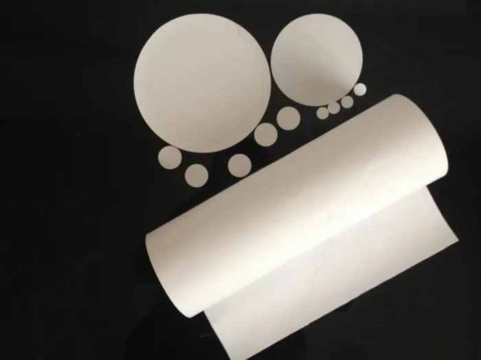 0.45 Micron Nylon (N6&N66) Filter Membrane in Disc for Syringe Filter and Laboratory Use
