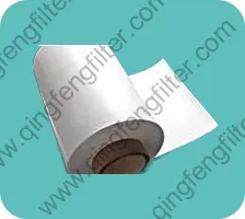 0.22um PVDF Nylon Mce Ca PTFE PP GF Pes Membrane Filter in Roll as Blotting Membrane