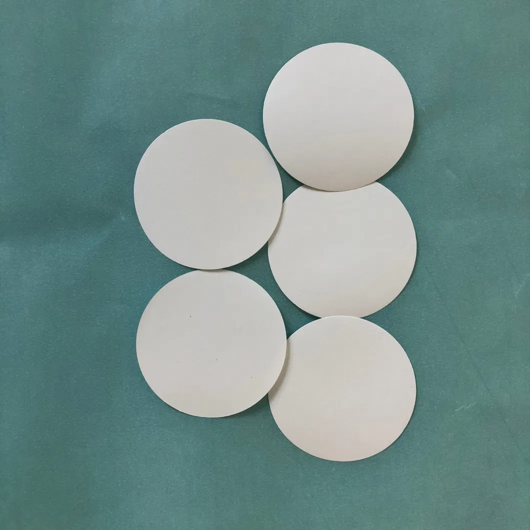 Nylon/PVDF/Mce/PP/PTFE Filter Membrane for Liquid and Water Filtration in Precision Filters