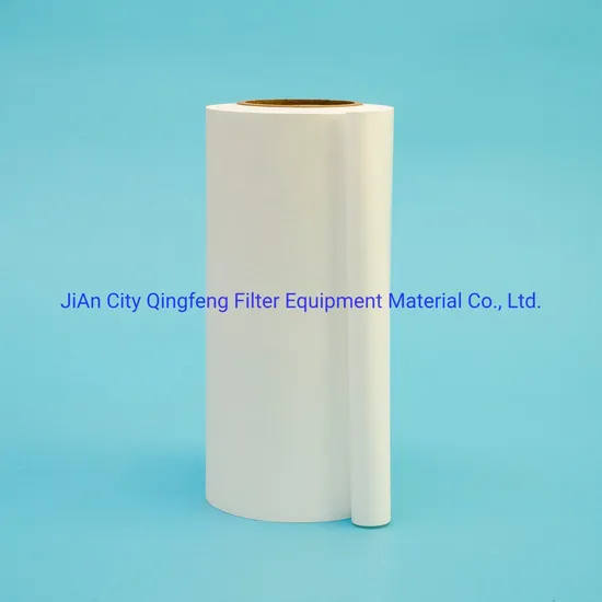 0.45um Hydrophilic Nylon Micron Filter Membrane with Roll Disc Type