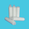 Hydrophilic and Hydrophobic PTFE Pleated Filter Membrane Cartridge for Water Filter