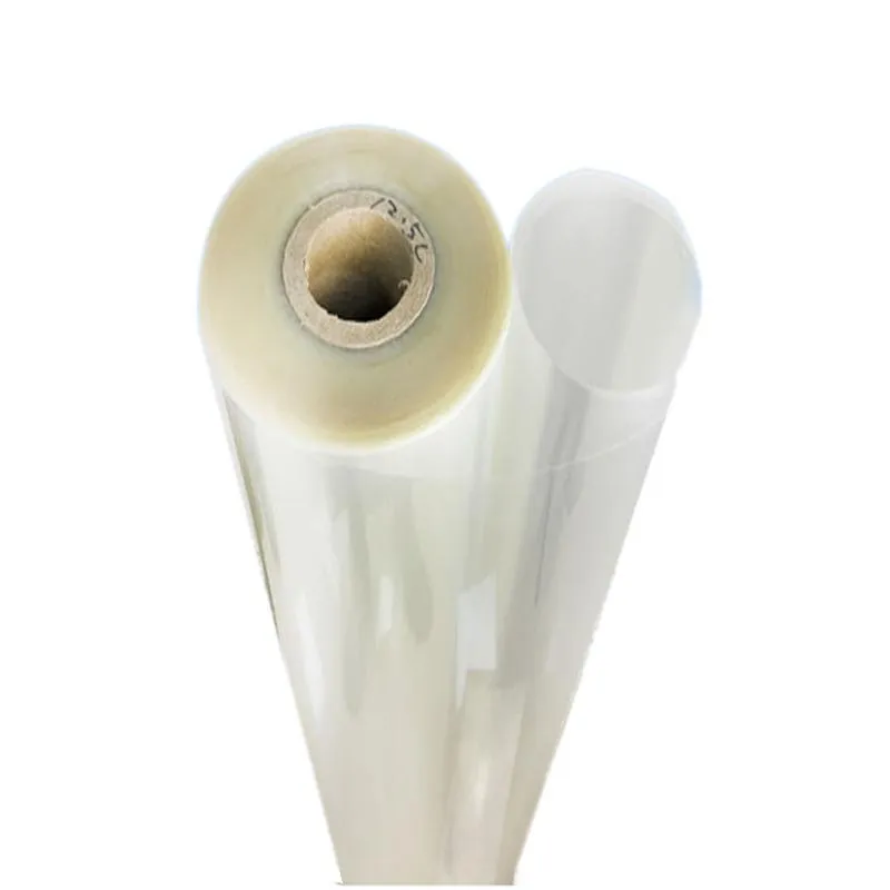 Nuclear (PC/PET) Pore Filter Membrane for Microporous Filter Membrane