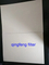 Glass Fiber Filter Membrane for Gas and Liquids Prefiltration