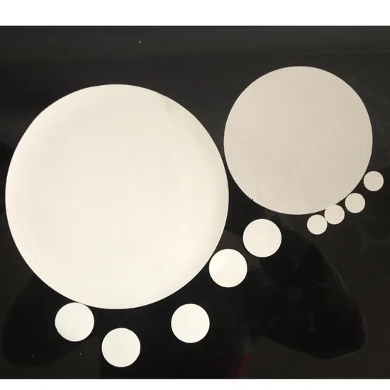0.22um & 0.45um Disc Nylon Filter Membrane Without Support Layer